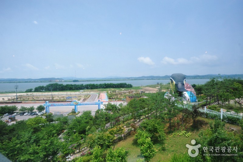 Geumgang Estuary Bird Sanctuary  (4/12)