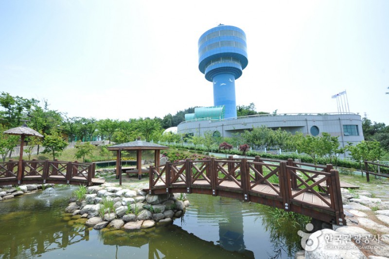Geumgang Estuary Bird Sanctuary  (11/12)