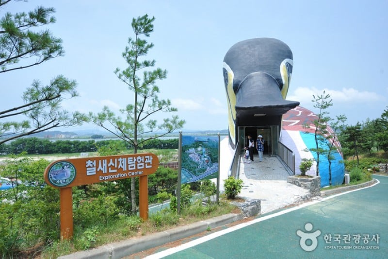 Geumgang Estuary Bird Sanctuary  (12/12)