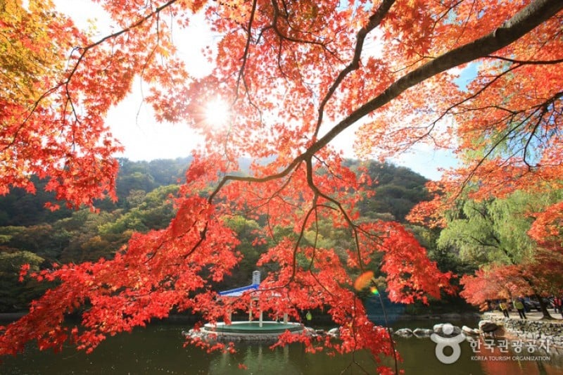 Uhwajeong Pavilion 