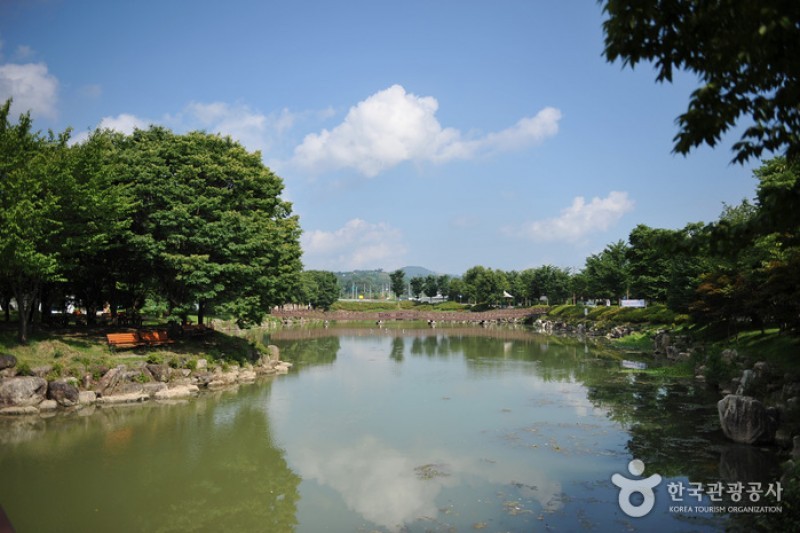 Saseondae Tourist Resort &amp; Sculpture Park  (5/14)
