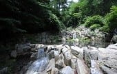 Deogyusan Mountain Natural Recreation Forest 