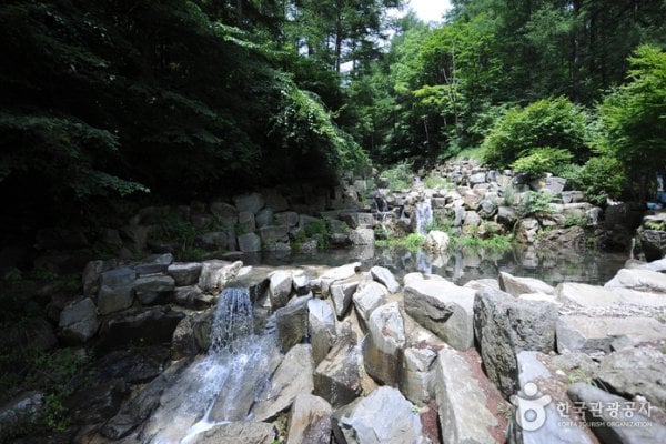Deogyusan Mountain Natural Recreation Forest