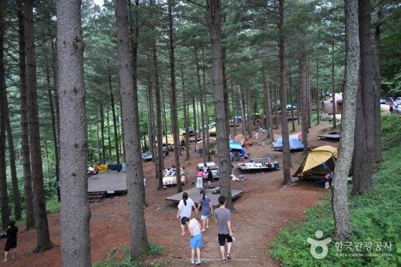 Deogyusan Mountain Natural Recreation Forest  (2/19)