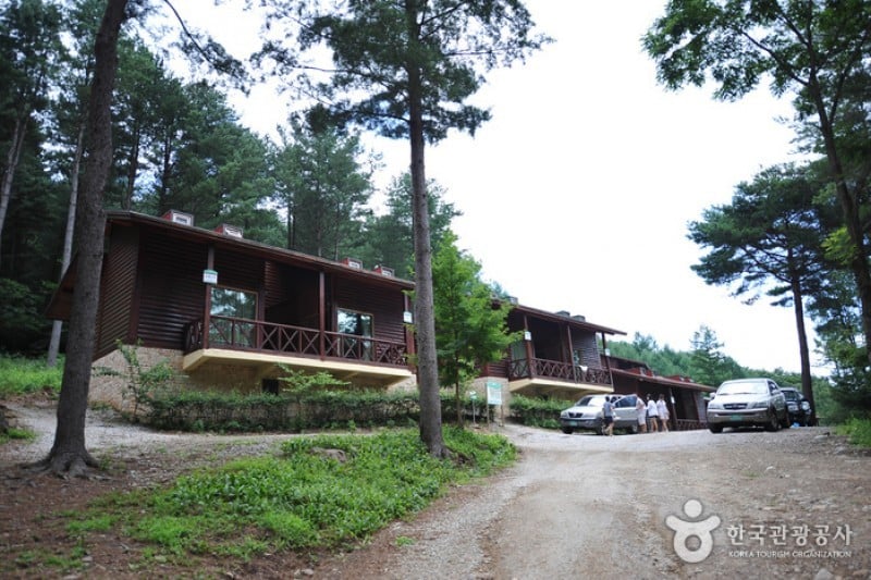 Deogyusan Mountain Natural Recreation Forest  (3/19)