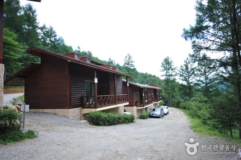 Deogyusan Mountain Natural Recreation Forest  (4/19)