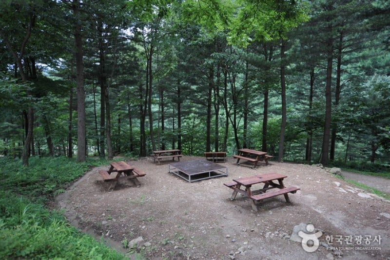 Deogyusan Mountain Natural Recreation Forest  (5/19)