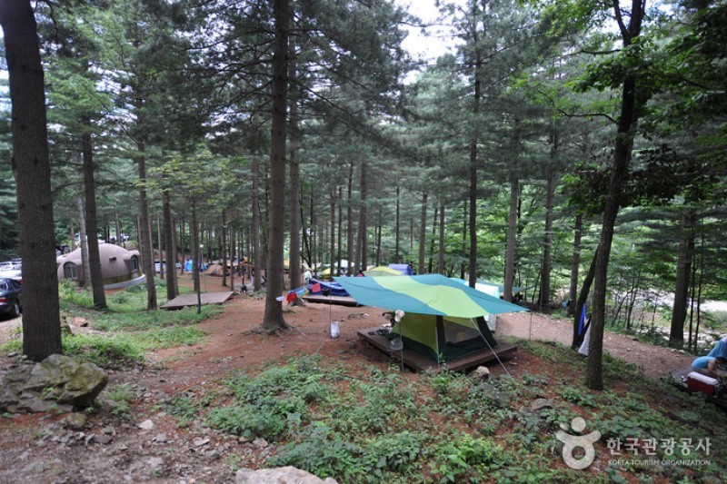Deogyusan Mountain Natural Recreation Forest  (6/19)
