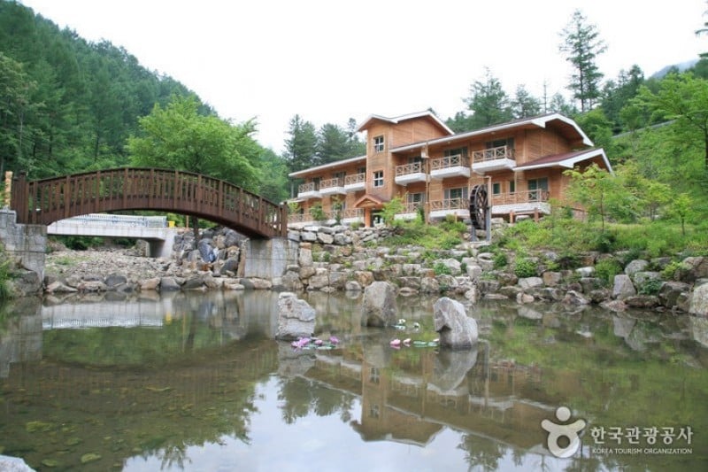 Deogyusan Mountain Natural Recreation Forest  (14/19)