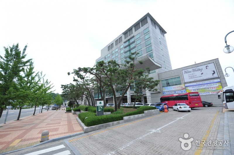 Hotel Lewin  (5/8)