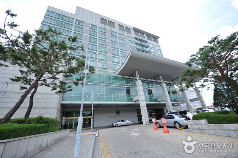 Hotel Lewin  (7/8)