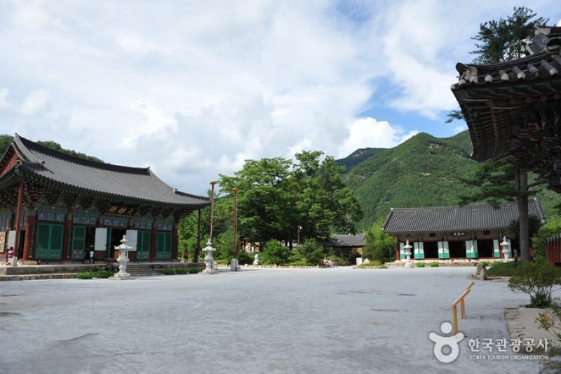 Songgwangsa Temple  (10/15)