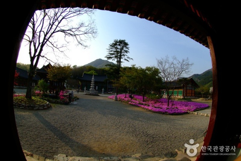 Songgwangsa Temple  (13/15)