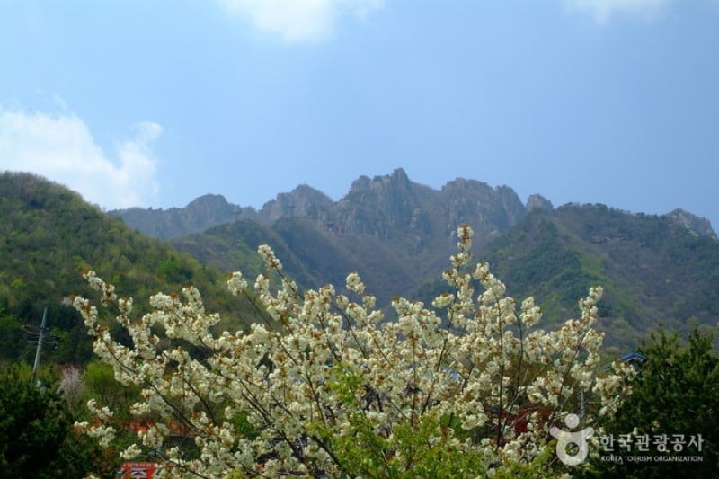 Daedunsan Provincial Park  (7/13)