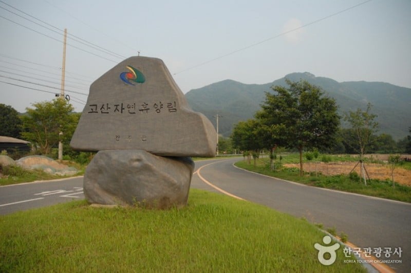 Gosan Recreation Forest  (2/23)