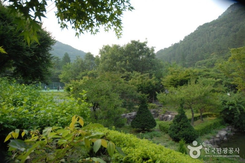 Gosan Recreation Forest  (3/23)