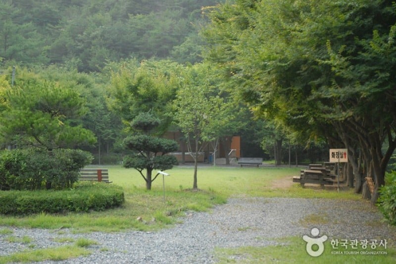 Gosan Recreation Forest  (4/23)
