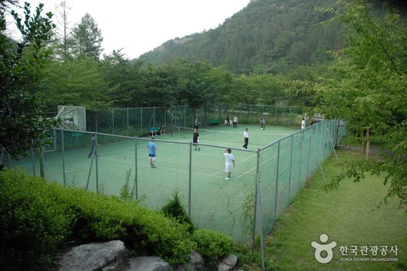 Gosan Recreation Forest  (5/23)