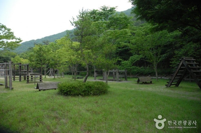 Gosan Recreation Forest  (6/23)