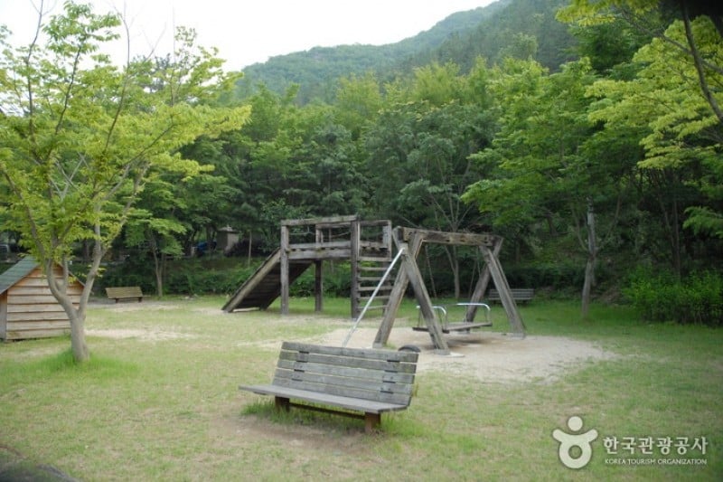 Gosan Recreation Forest  (7/23)