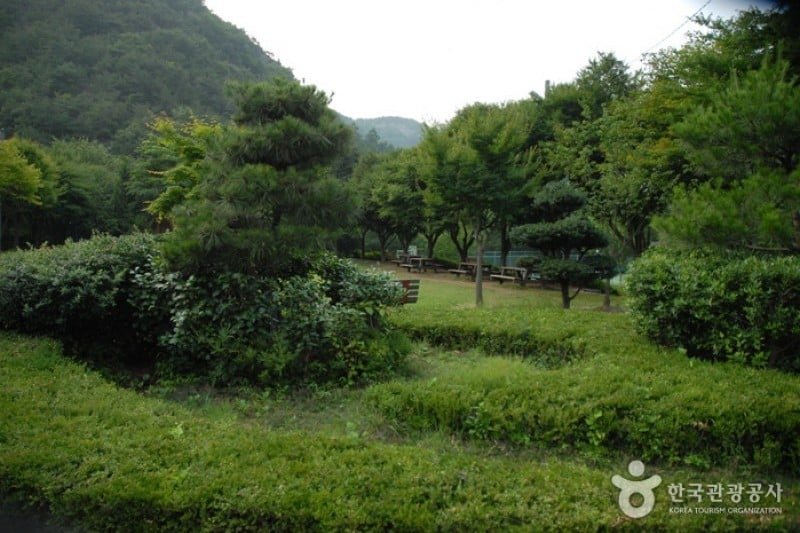 Gosan Recreation Forest  (8/23)