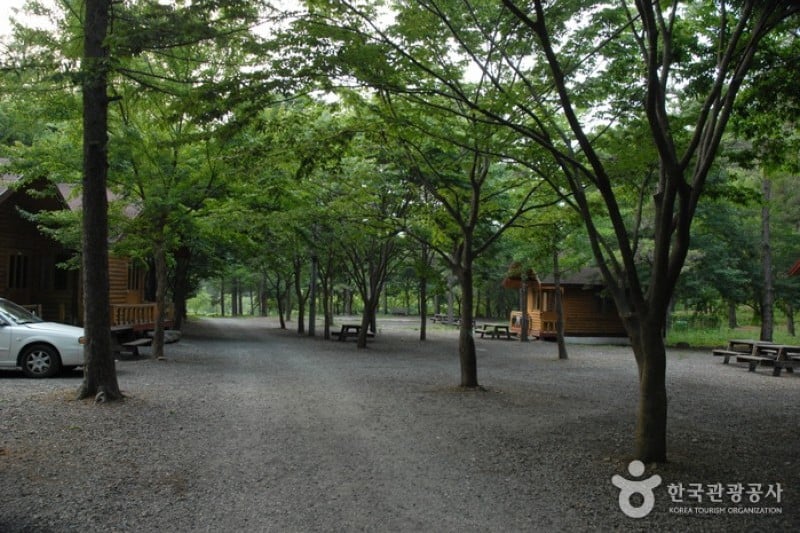 Gosan Recreation Forest  (9/23)