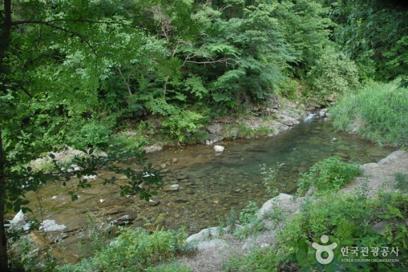 Gosan Recreation Forest  (10/23)