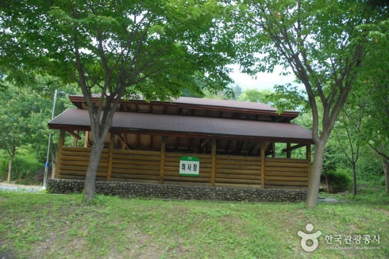 Gosan Recreation Forest  (11/23)