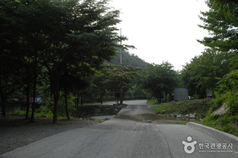 Gosan Recreation Forest  (12/23)
