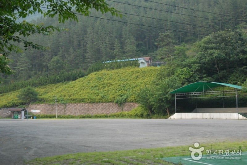 Gosan Recreation Forest  (13/23)