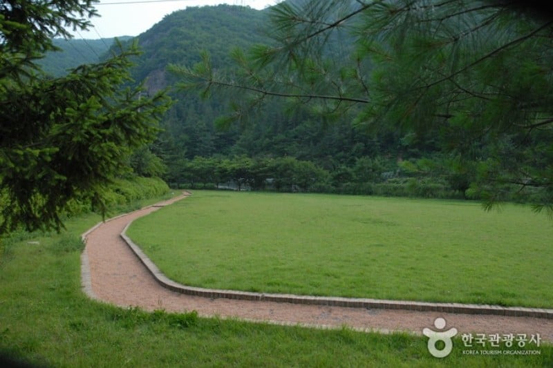 Gosan Recreation Forest  (15/23)