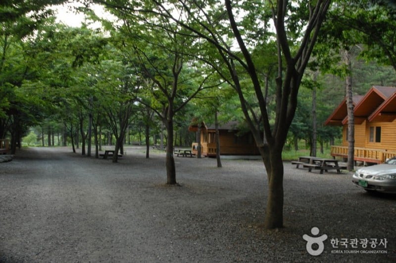 Gosan Recreation Forest  (17/23)