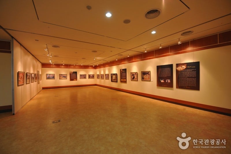 Gochang Dolmen Museum  (1/13)