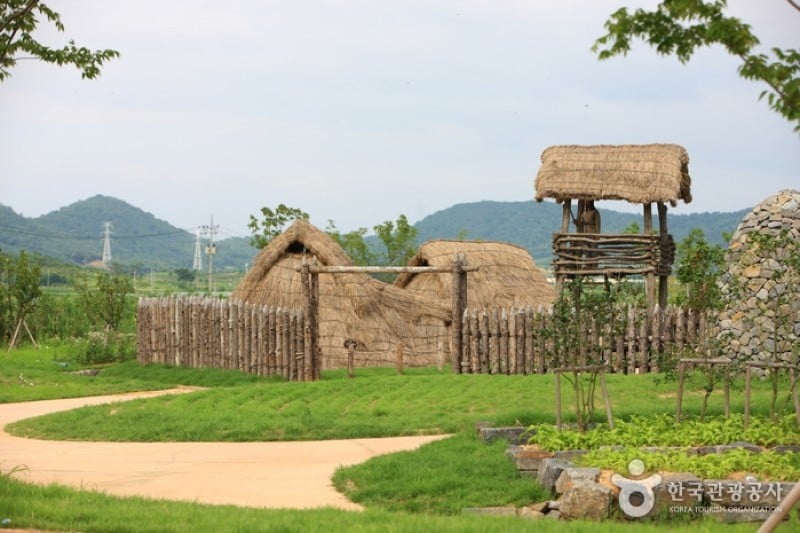 Gochang Dolmen Museum  (8/13)