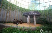 Gochang Dolmen Museum 