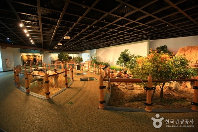 Gochang Dolmen Museum  (10/13)