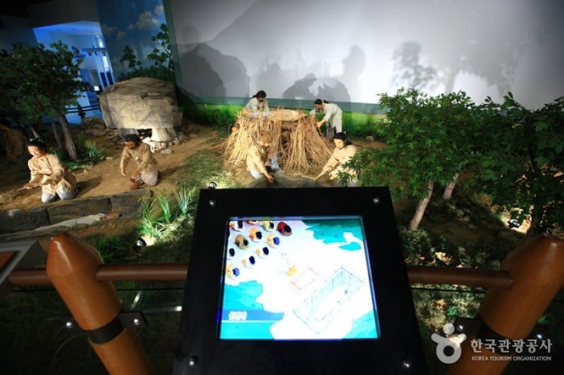 Gochang Dolmen Museum  (11/13)
