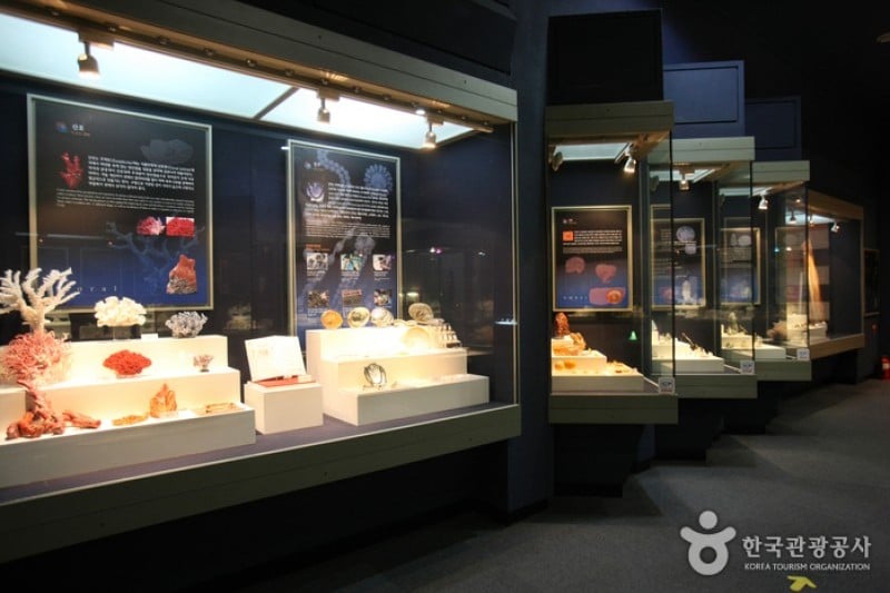 Iksan Jewelry Museum  (31/42)
