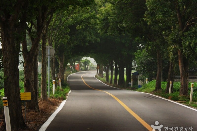 Moaksan Provincial Park  (1/3)