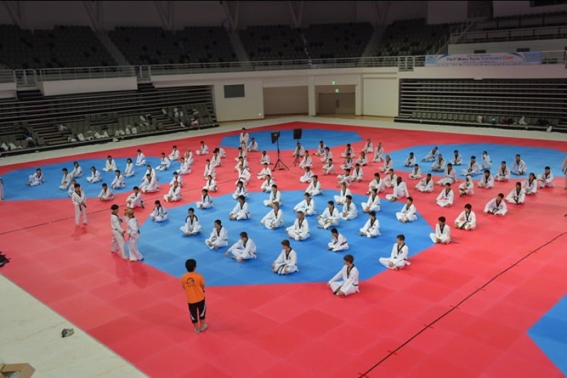Taekwondowon  (3/8)