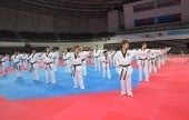 Taekwondowon 