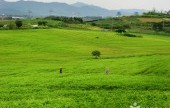 Borinara Hagwon Farm 