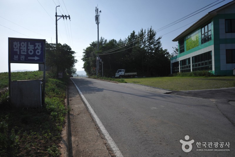 Borinara Hagwon Farm  (2/11)