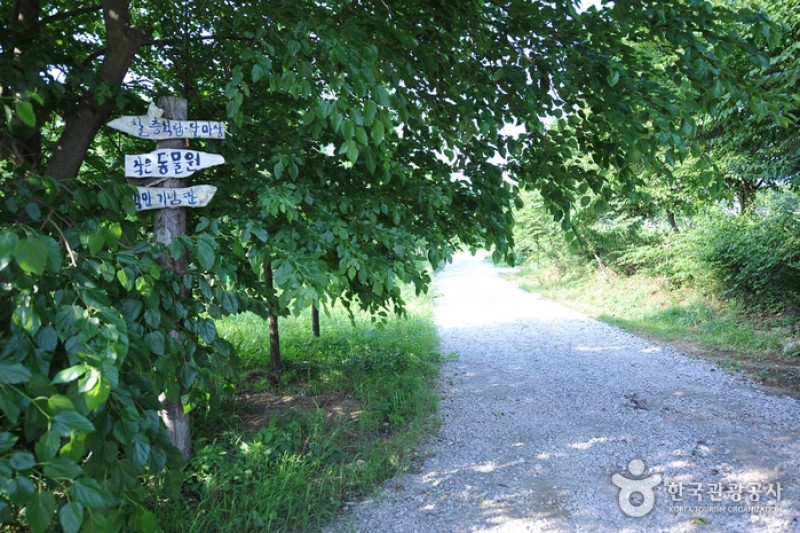 Borinara Hagwon Farm  (3/11)