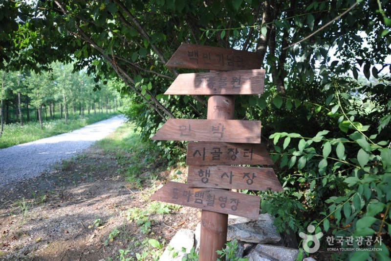 Borinara Hagwon Farm  (4/11)