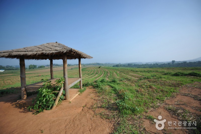 Borinara Hagwon Farm  (5/11)