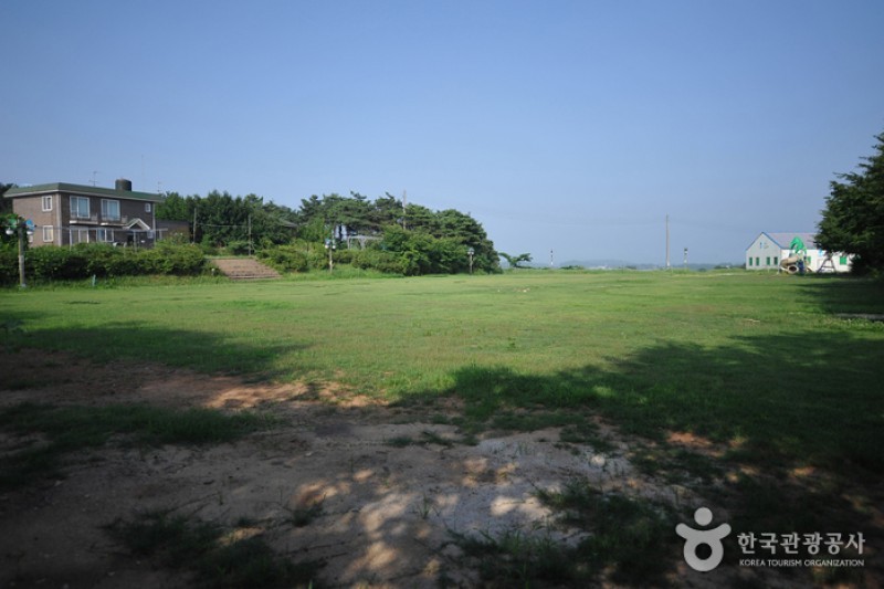 Borinara Hagwon Farm  (7/11)