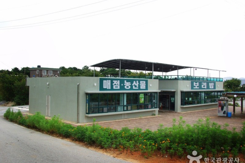 Borinara Hagwon Farm  (8/11)