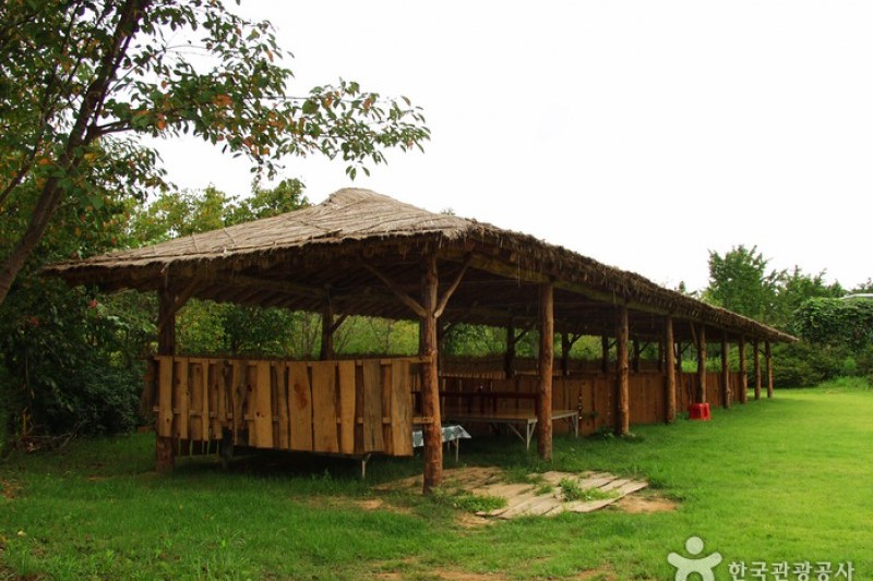 Borinara Hagwon Farm  (9/11)