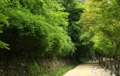 Gangcheonsan County Park 